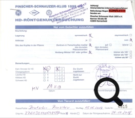 HD-Rönthenuntersuchung