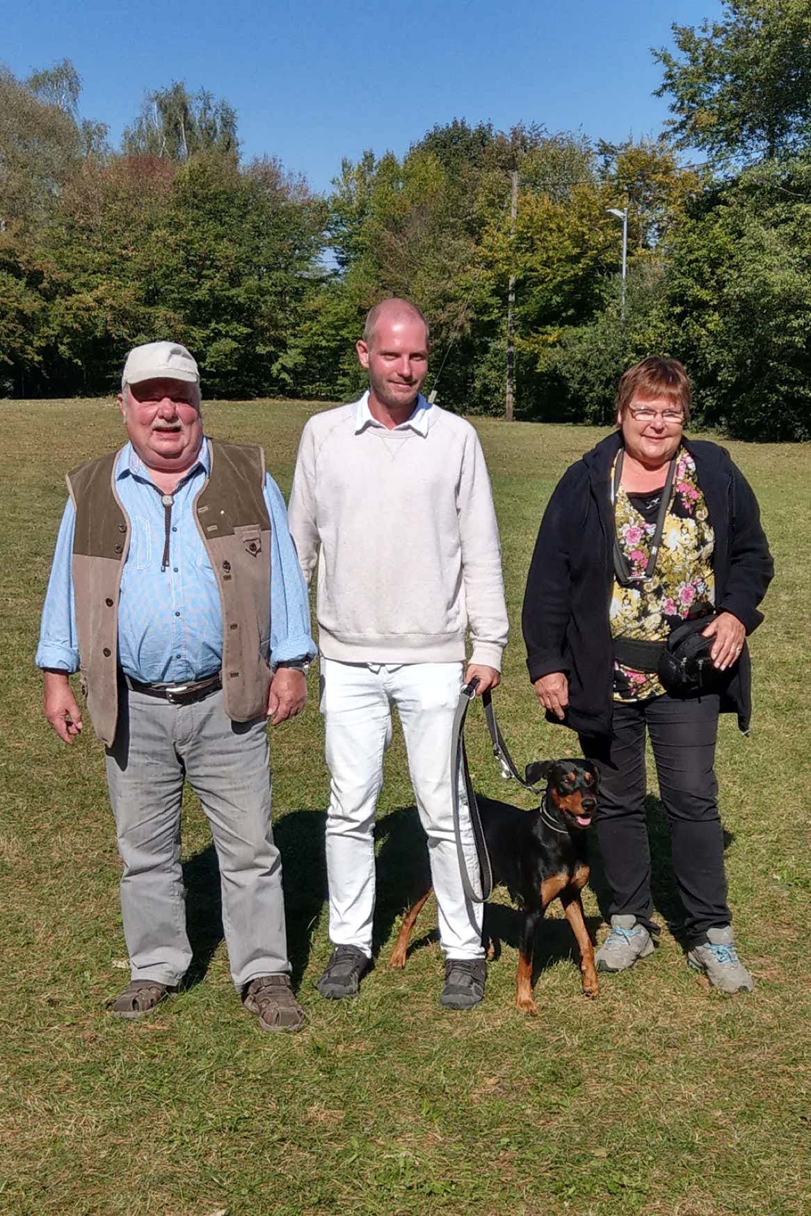 Deutscher Pinscher