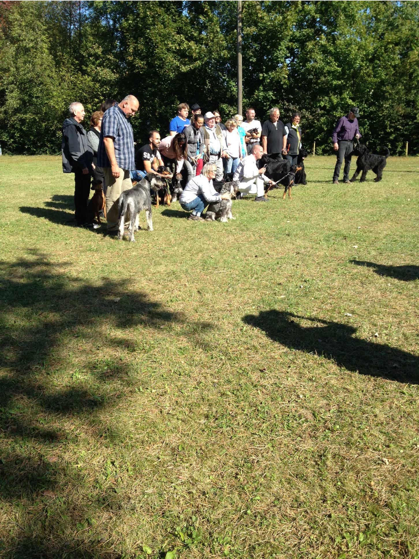 Zuchtzulassung Deutscher Pinscher