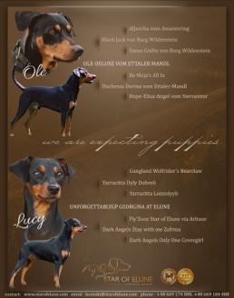 DECKAKT / MATTING 19.07.2022 