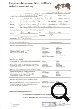 PSK Verhaltensbeurteilung