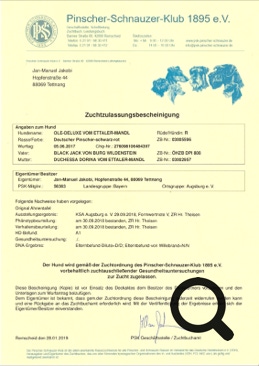 Zuchtzulassungsbescheinigung